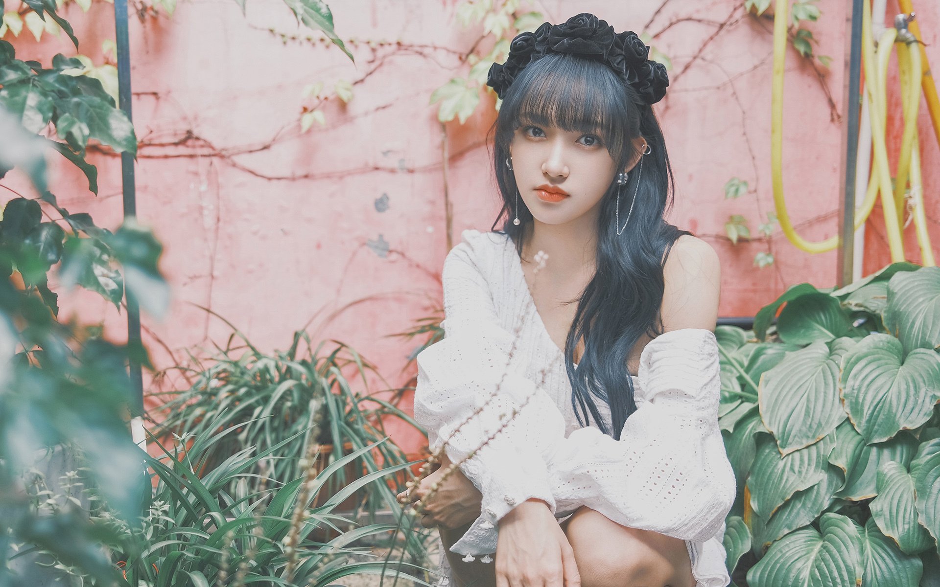 双城记,佛罗伦萨的锁链与加维的舞步