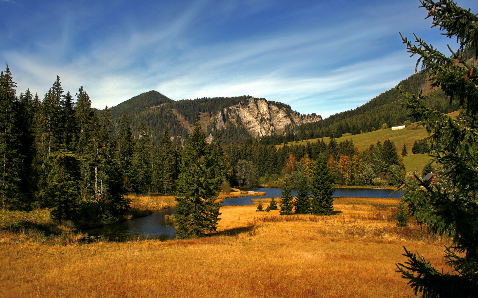 霍勒迪的炼狱演出,新疆对阵森林狼的逆转密码