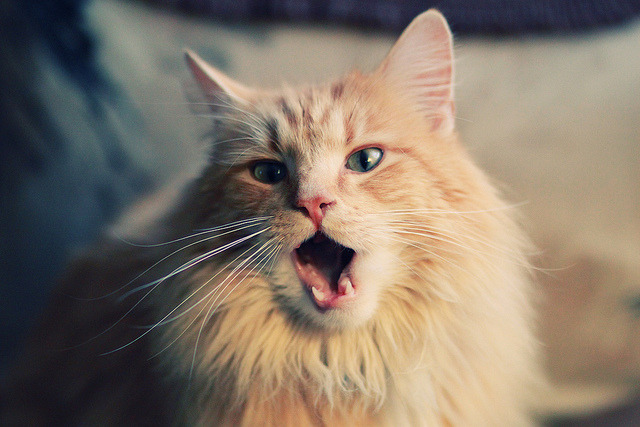 广东队爆冷淘汰掘金,利拉德末节超神接管比赛