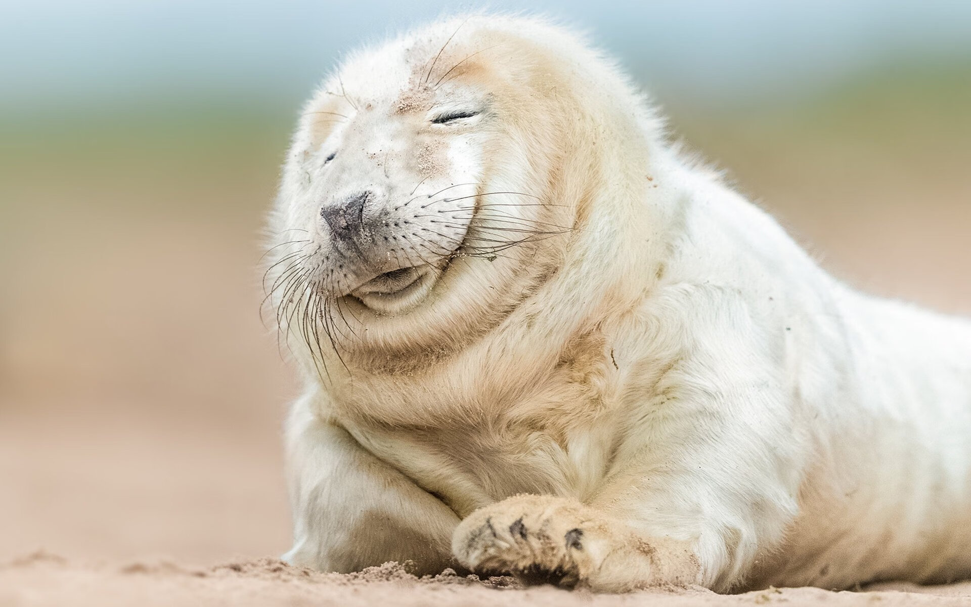 鏖战绿茵,牙买加力克爱尔兰;一夫当关,斯通斯闪耀定乾坤